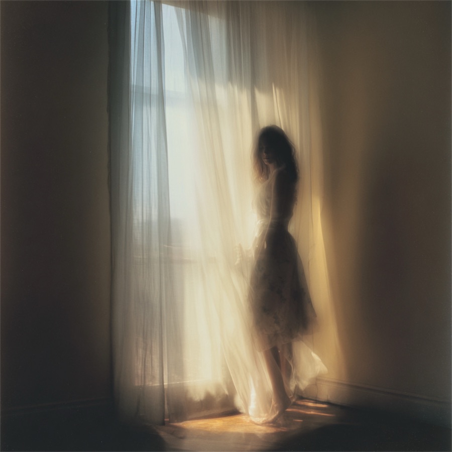 David Miller - The Shape of Missing