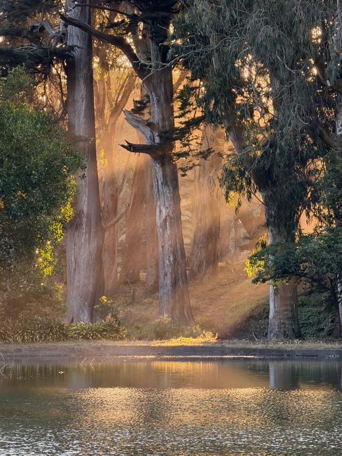 Cherie Correll (Lake Ann, MI) - Golden Gate Park